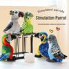 Cross-border Macaw Parrot Plush Toy - Children's Cognitive Bird Figurine