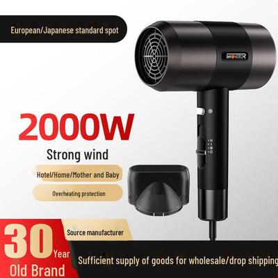 High-Power Quick-Drying Hair Dryer - European & Japanese Standards
