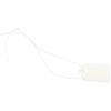 Stylish Plastic Hanging Tags for Gardening Plant Pack of 100 Waterproof Labels