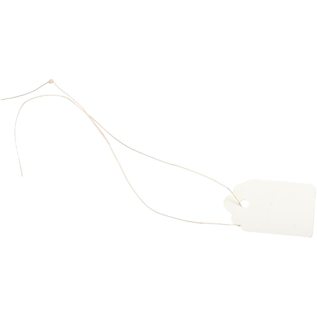 Stylish Plastic Hanging Tags for Gardening Plant Pack of 100 Waterproof Labels