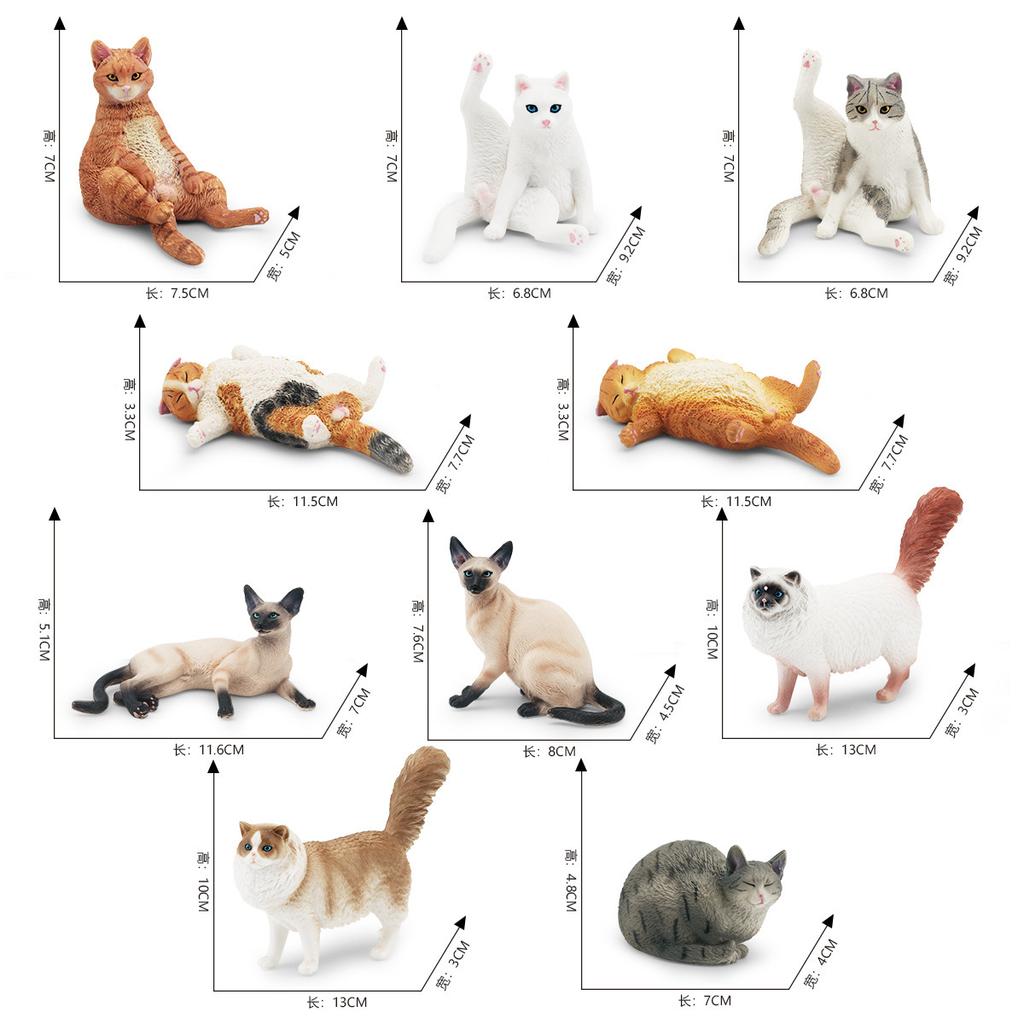 10 Simulated Cat Animal Models Lazy Orange Cat Siamese Cat Muppet Cat Black Cat Flower Cat Desktop Ornament Toys