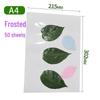 Self-Adhesive Cold Laminating Film - 6 Inch, A4, A6 for Photos, Bookmarks, and Leaf Specimens