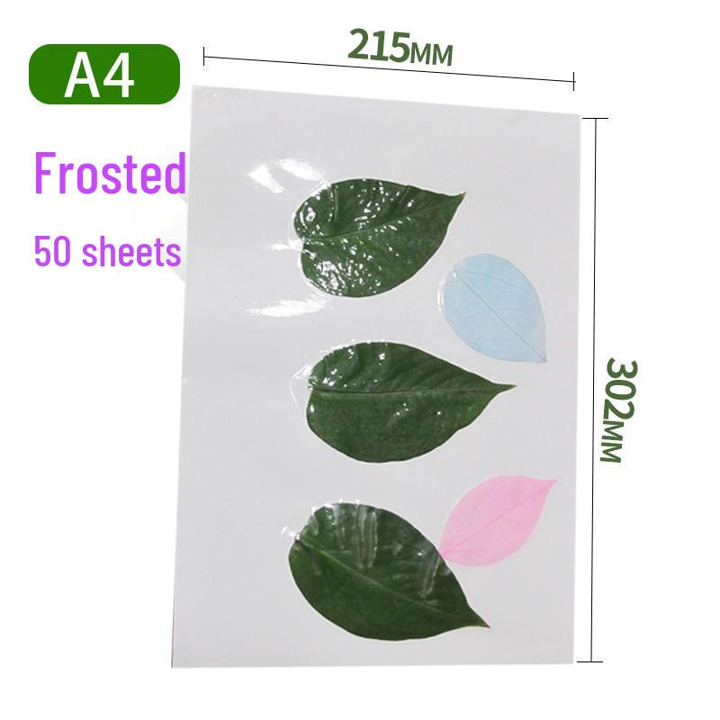 Self-Adhesive Cold Laminating Film - 6 Inch, A4, A6 for Photos, Bookmarks, and Leaf Specimens