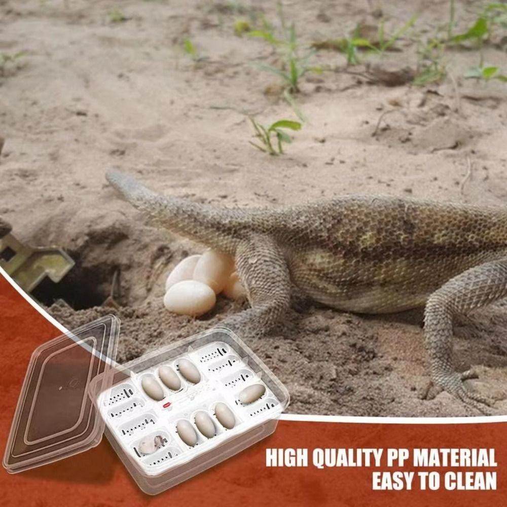 16 Grids Reptile Hatch Box Transparent Reptile Breeding Hatchery Turtles Egg Incubator Tray  Snake