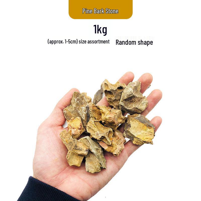 Azure Dragon Aquarium and Bonsai Landscaping Stone Set