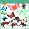 Multi-purpose Realistic Insect Model Set Featuring Eight Pieces Of Butterflies And Bugs