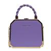 Fashion Designer Metal Square Bag Ladies Small Cell Phone Chain One Shoulder Crossbody Purse Box Evening Print Classical Solid