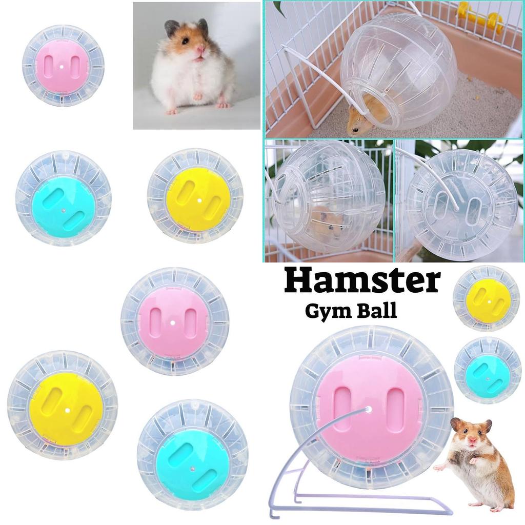 Giocattolo Fitness Colorato per Criceti Sfera Trasparente in Plastica per Roditori per Correre ed Esercizio