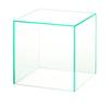 Five-sided acrylic box W250×D250×H250 (glass color)