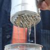 Extractor de Miel Portátil de Acero Inoxidable Mini Exprimidor de Miel Herramienta de Exprimido Herramienta de Apicultura