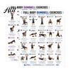 Gráfico Profesional de Entrenamiento con Pesas 2 Piezas Póster de Entrenamiento con Mancuernas, Rutina de Ejercicios de Cuerpo Completo Fitness para Mujeres Arte de Pared, Guía de Fuerza Gimnasio en Casa