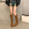 Vintage Stretch Slim Damen Kniehohe Stiefel Mode Slip On Spitzschuhe Herbst Winter Niedrige Absätze Ritter Lange Stiefel