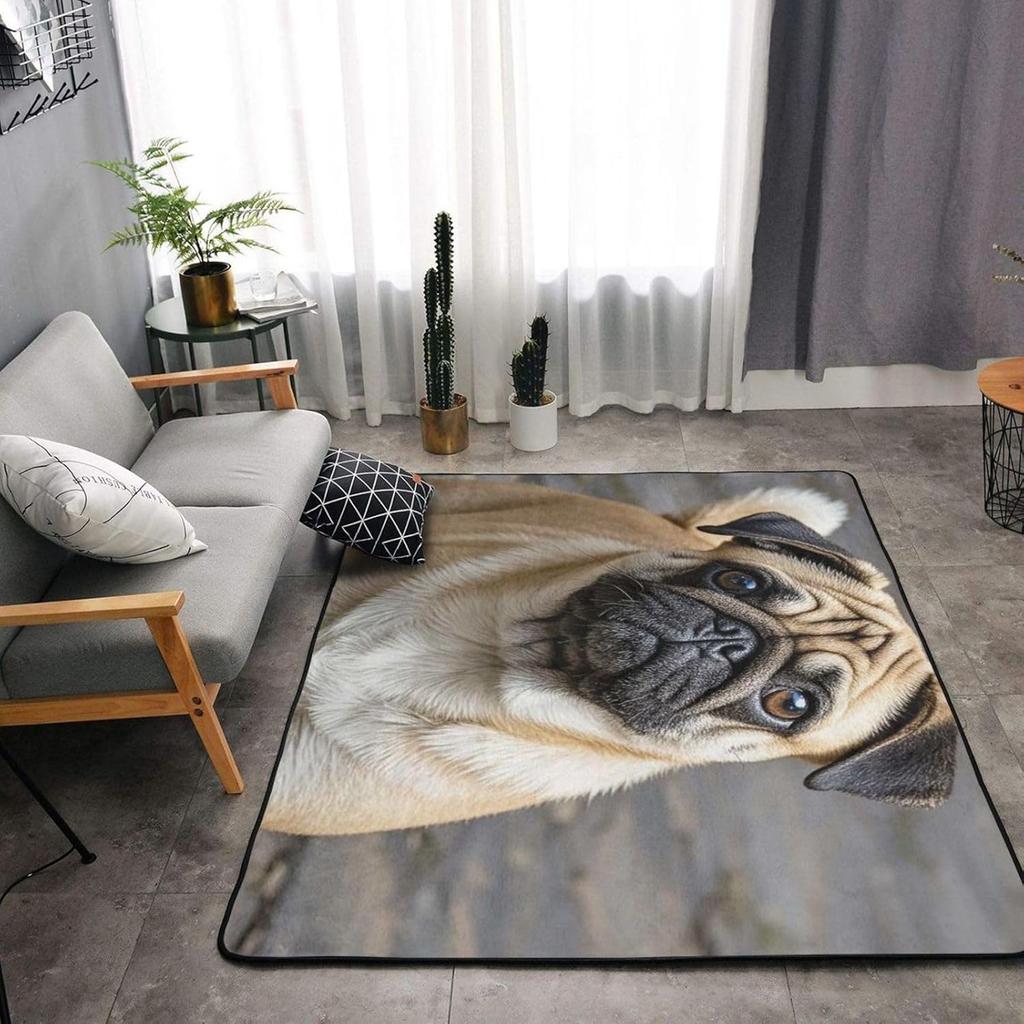 Non-Slip Doormat Low Profile Floor Mats Sugar Skull Rose Area Rug Entrance Mat Machine Washable Carpet for Bedroom Dining Room