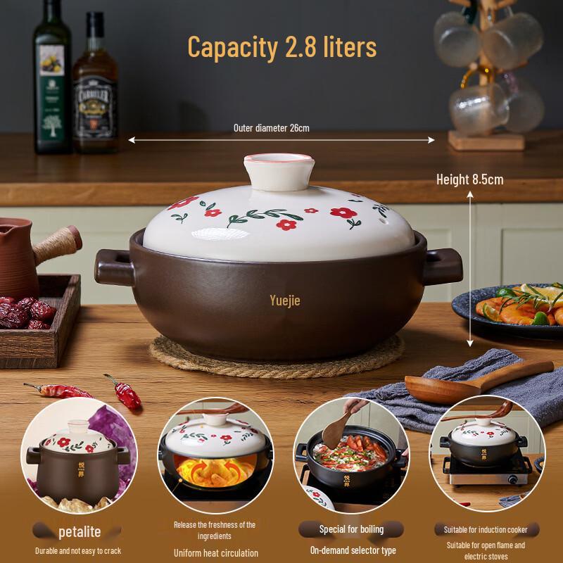 

Hanyou Crack-Resistant Ceramic Casserole Pot