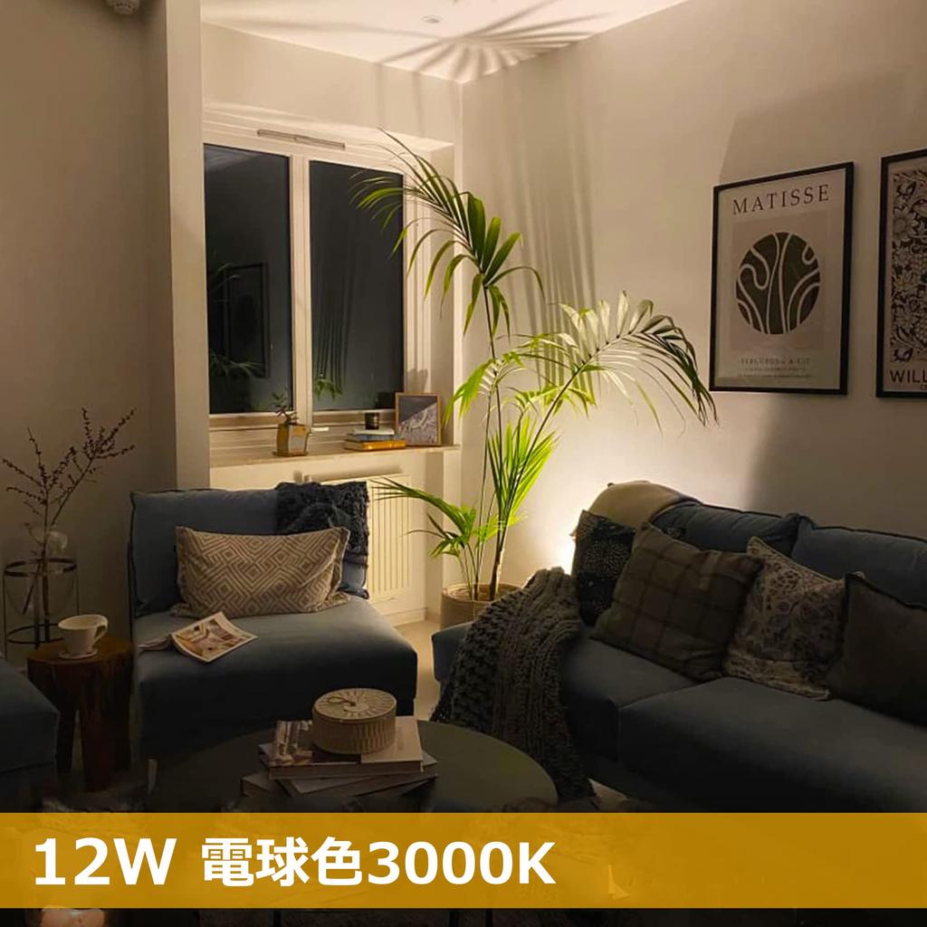 YC LED Spotlight, Outlet-Compatible, Tabletop, 12W, Ambient Lighting, Floor Light, Floor Stand Light, Stage Light, Indoor Use, Living Room, Floor