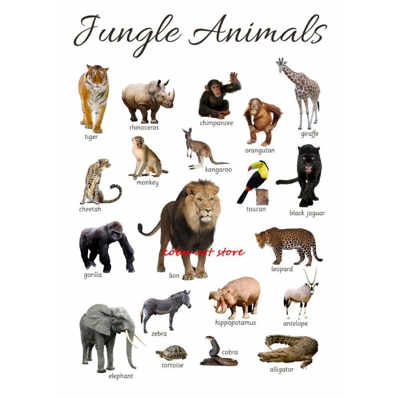 Farm Animals Ocean Animals Horse Educational Learning Poster Print Canvas Painting Wall Art Picture for Kids Nursery Room Decor