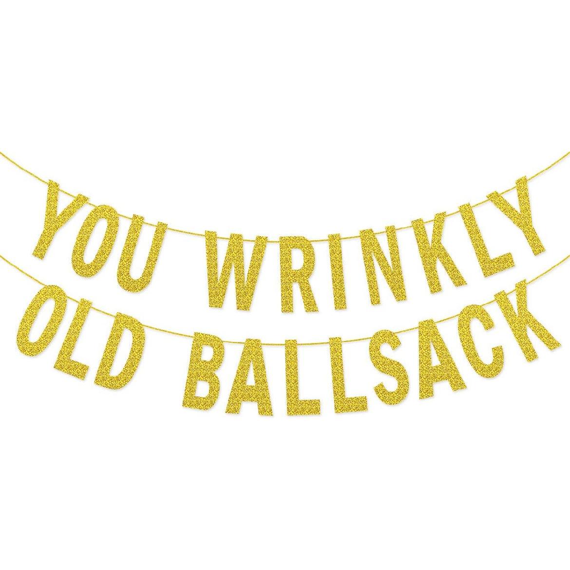 You Wrinkly Old Ball Sack Funny Party Banner for 50th 60th 70th 80th Birthday Party Retirement Party Decorations