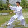 2024 Yu Cheng Tai Chi Suit: Men's & Women's Training and Performance Set for Spring-Summer Exercise and Wushu