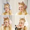 Cartoon Warm Ear Muffs Thickened Plush Ear Protection Accessories Plush Ear Cover  Women Girls