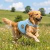 Schnelltrocknende Hundekühlweste Reflektierendes Sommer-Hundeshirt Haustier-Kühlshirt Für Outdoor-Aktivitäten