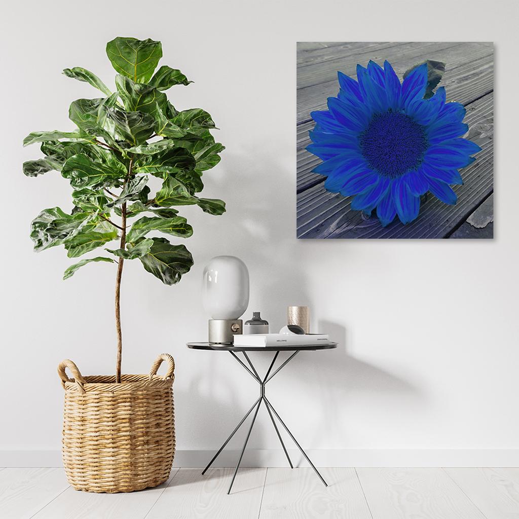 Canvas Print Blue Sunflower