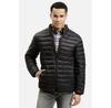 Winter Jacket Cross Jeans 40303-020