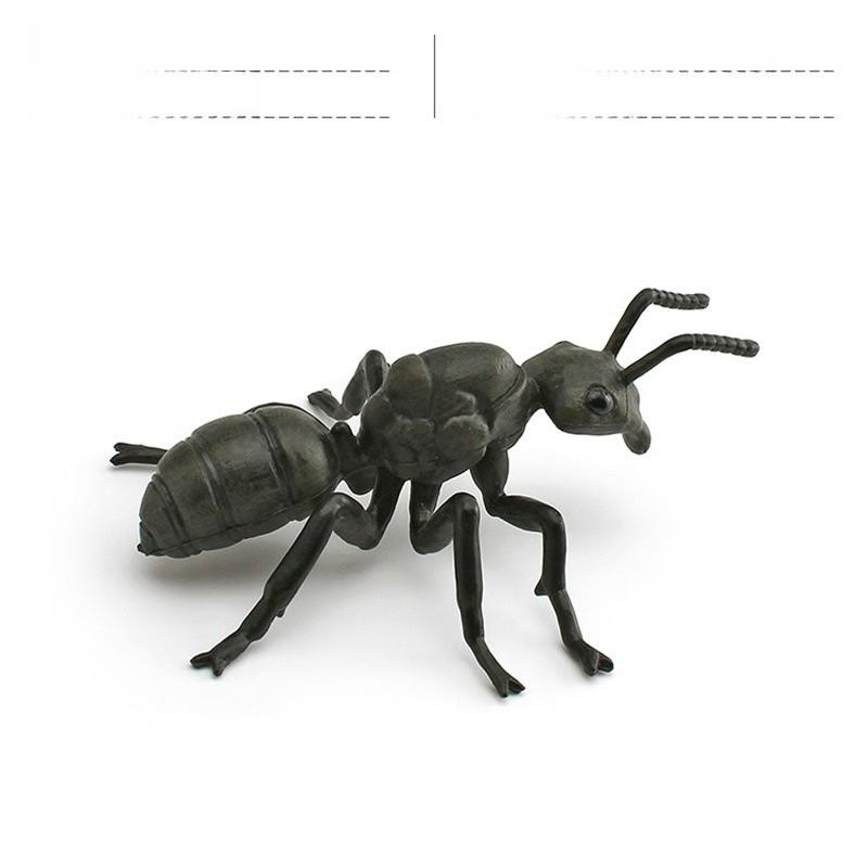 Insektensammlung Modell Pvc Tier Replikat Für Naturstudium Und Bildungszwecke