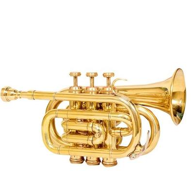 Shining Brass Pocket Trumpet with a Mouthpiece and a Carry Case