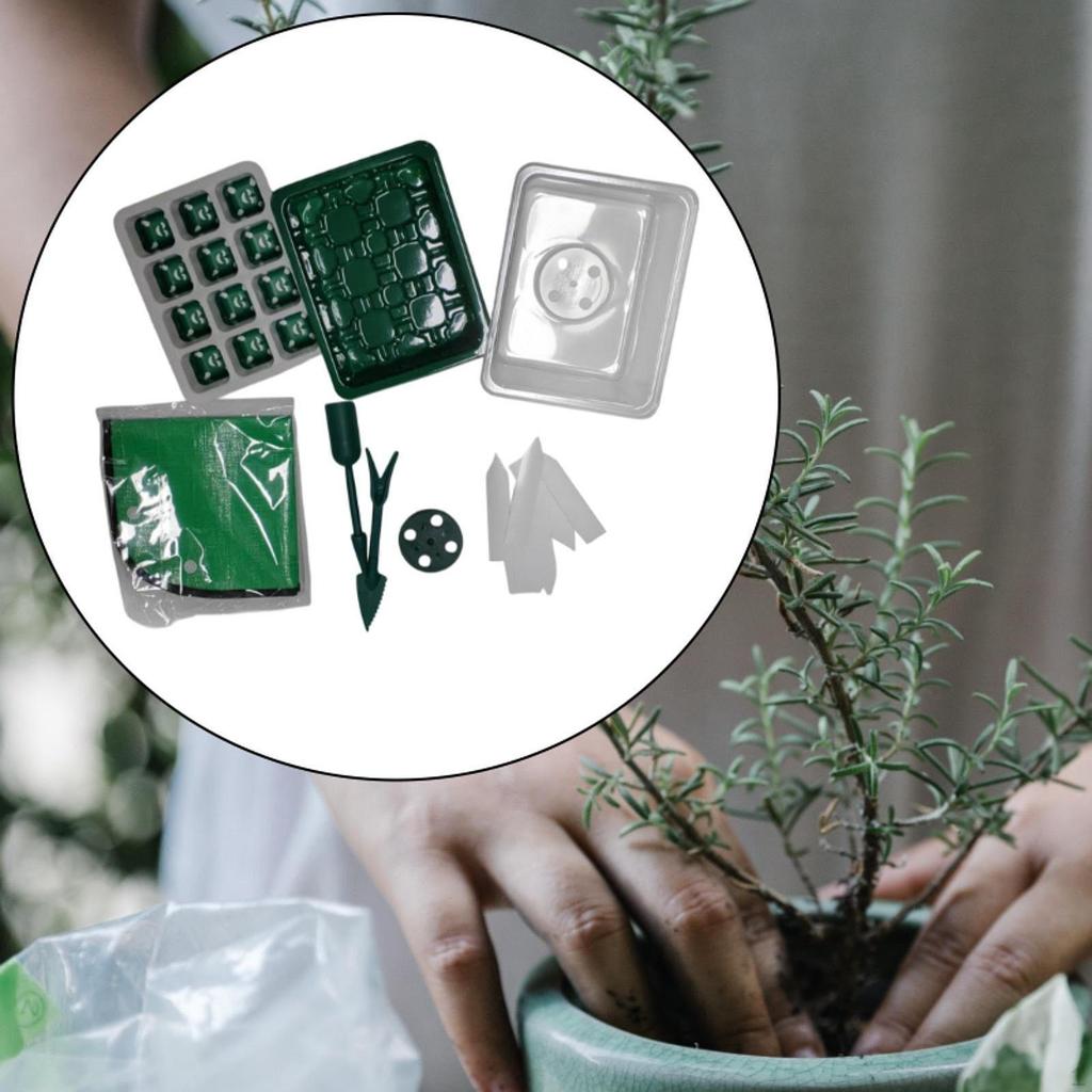 Indoor Plant Growth Kit with Mini Greenhouse for Seedling Preparation