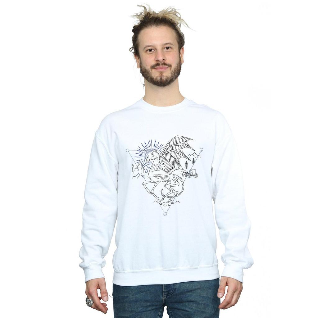 Harry Potter Mens Thestral Line Art Sweatshirt