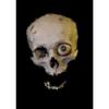 Classic Horror Halloween Pumpkin Skull Dark Academy Fashion Retro Poster Canvas Paintings Wall Art Pictures Home Decor
