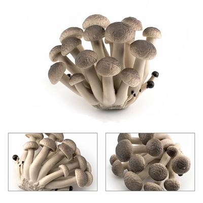 Vegetable Model Fungus Figurines Landscape Miniatures Artificial Simulation Mushroom Pleurotus Plant Fungus Model