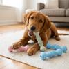 Dumbbell Shaped Dog Molar Stick TPR Made Puppy Teeth Cleaning Toy  Interactive Training