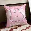 Asamimichaan Asleep Cushion Cover Reversible Soft Durable Pillow Cover Home  Car MultiScene Use for Daily Comfort