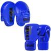 Boxing Gloves Set With Hand Targets Foot Target Kids Adults Training Sparring MMA Kickboxing