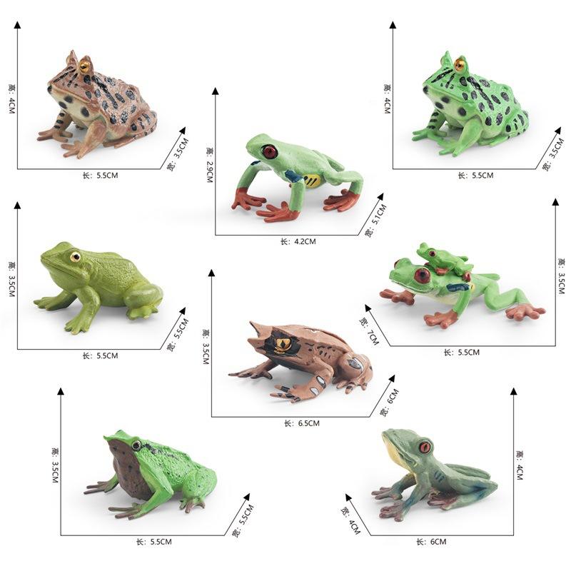 Simulace Obojživelník Žába Trojúhlá Žába Mrtvého Listu Rosnička Červenooká Darwinova Žába Statický Model Ozdoba