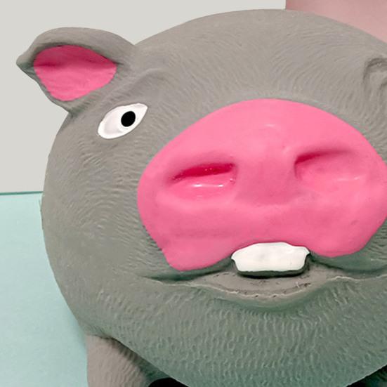 Stress Relief Pig Squeeze Toy Kids Adults Cartoon Pig Sensory Toy Portable