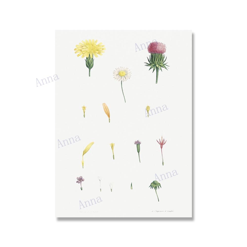 

Ретро цветы Иллюстрация настенное искусство постер ботаническая картина на холсте постер печать настенное искусство картина для декора стены гостиной 30x40cm No Framed