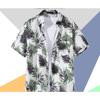 Camicia da Uomo Hawaiian Lily con Stampa Floreale Tropicale, Manica Corta, Bottoni