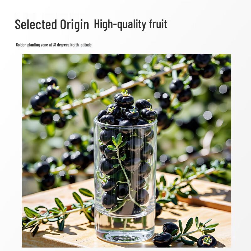 NINGANPU Black Goji Berry Original Juice with Anthocyanin