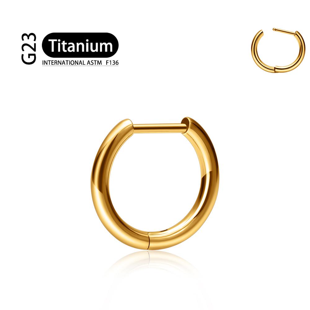 G23 Titanium Piercing 16G/18G 8/10/12mm Nose Ring D Shape Segment Ring Clicke Cartilage Tragus Helix Lip Piercing Body Jewelry