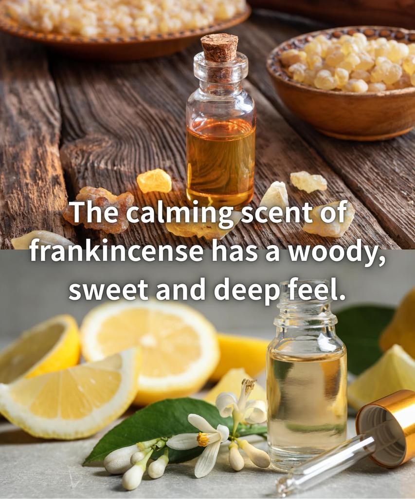 Fragrant Incense (Made In Japan) [Frankincense & Citrus] J0480585