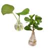 8pcs Cute Ceramic Vase Fridge Magnets 3D Refrigerator Magnets Decoration for Kitchen Office Whiteboard