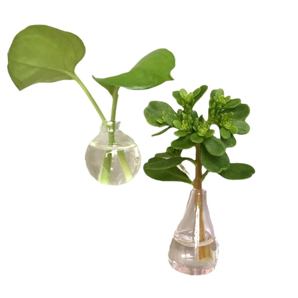 8pcs Cute Ceramic Vase Fridge Magnets 3D Refrigerator Magnets Decoration for Kitchen Office Whiteboard