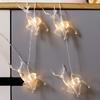 New led back deer string lights Christmas series holiday lights string lights decorative lights manufacturers wholesale Warm White 2 meters 20 lights