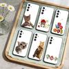 Huse pentru telefoane – Huse tip bumper pentru telefon