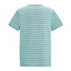 Regatta Mens Benlin Striped T-Shirt