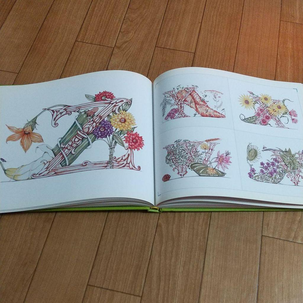 [USED] Used Books Botanical Art Flowers Plants Shoes Botanical Illustrations