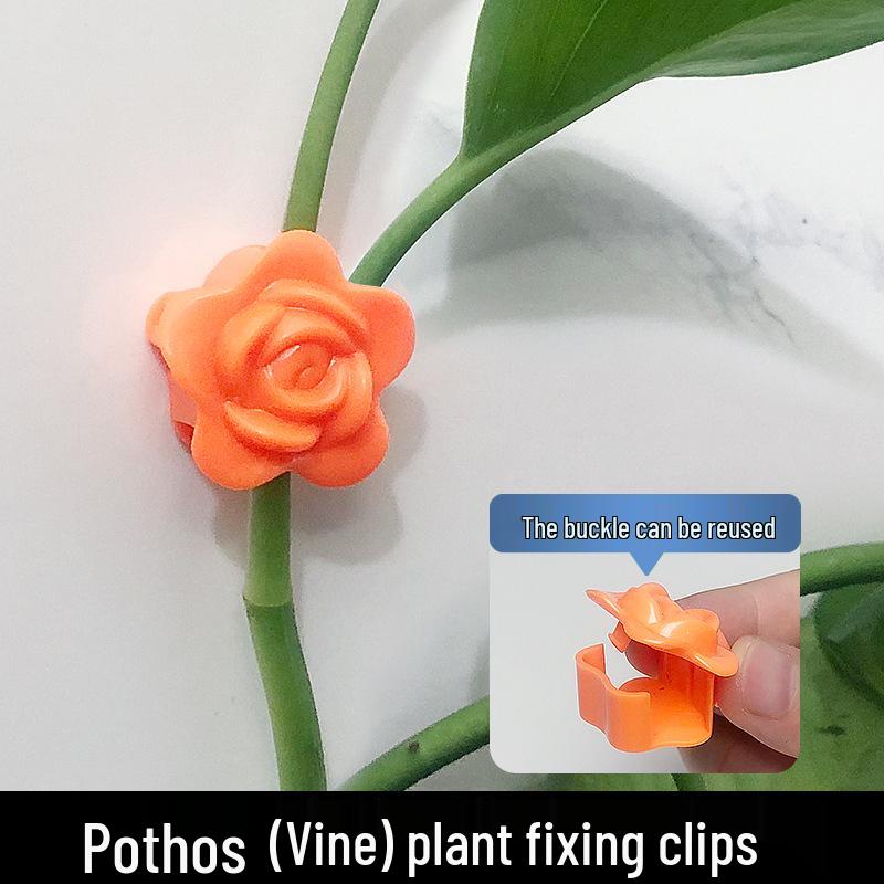 Self-Adhesive Invisible Clips for Wall-Mounting Green Vines and Ivy