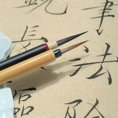 Pinceaux Traditionnels Chinois Crochet Ligne Écriture Caligraphique Fine Bambou Haute Qualité Artiste Étudiant Pratique Peinture Poil de Loup